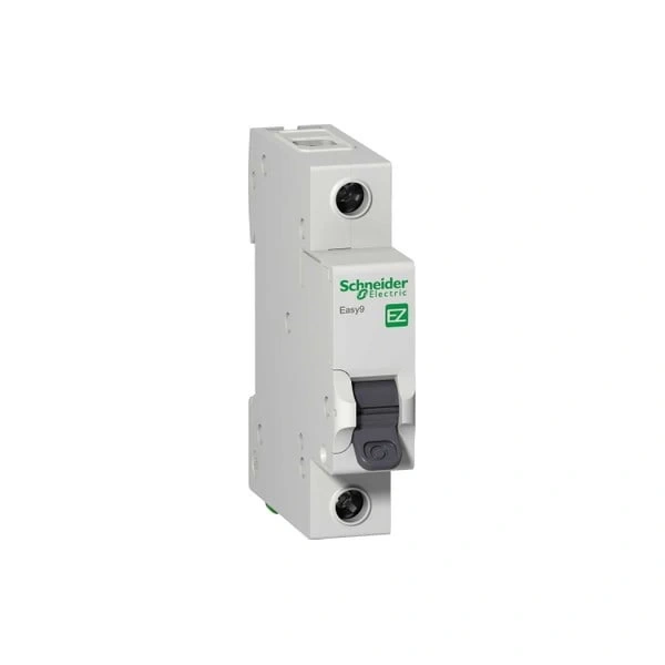 Schneider Sicherung Automat 2X10A A9F73210